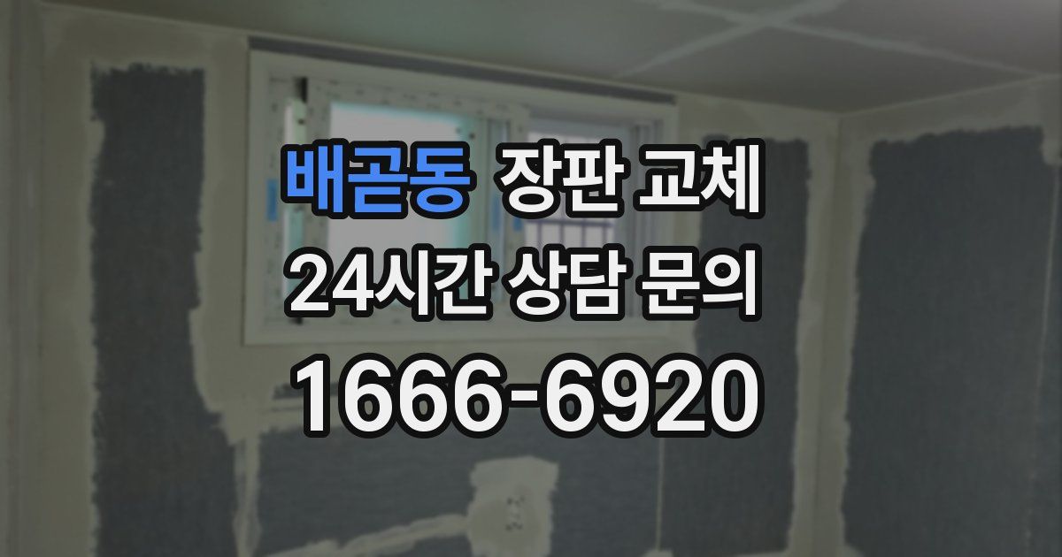배곧동 장판 교체