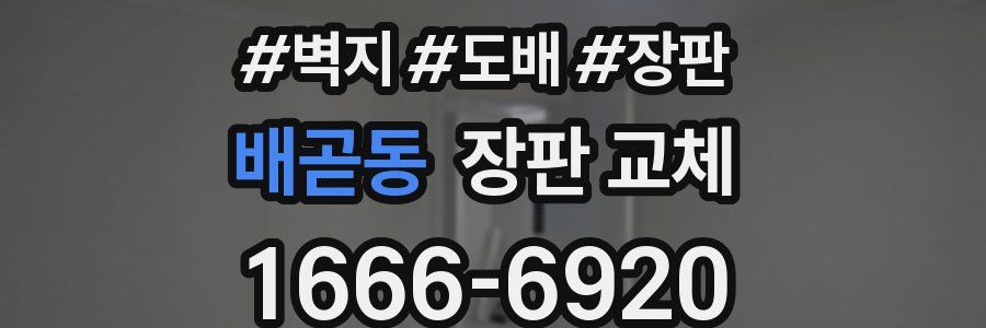 배곧동 장판 교체