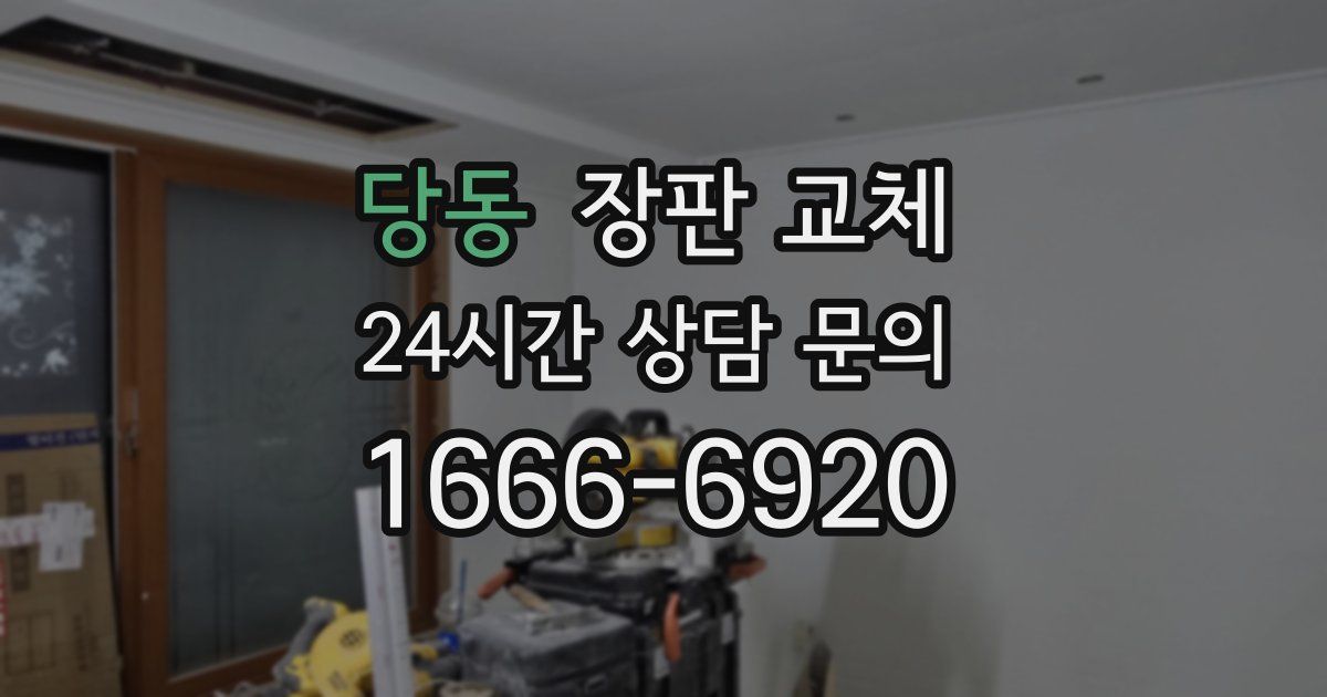 당동 장판 교체