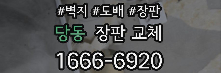 당동 장판 교체