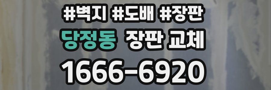 당정동 장판 교체