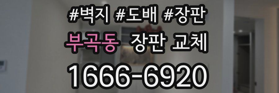 부곡동 장판 교체