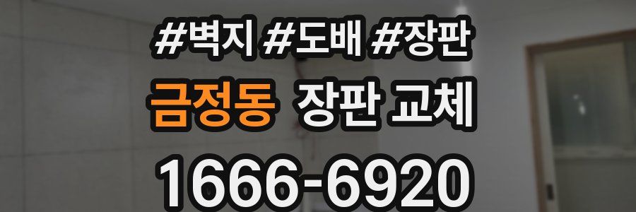 금정동 장판 교체