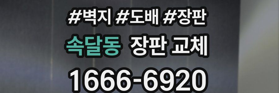속달동 장판 교체