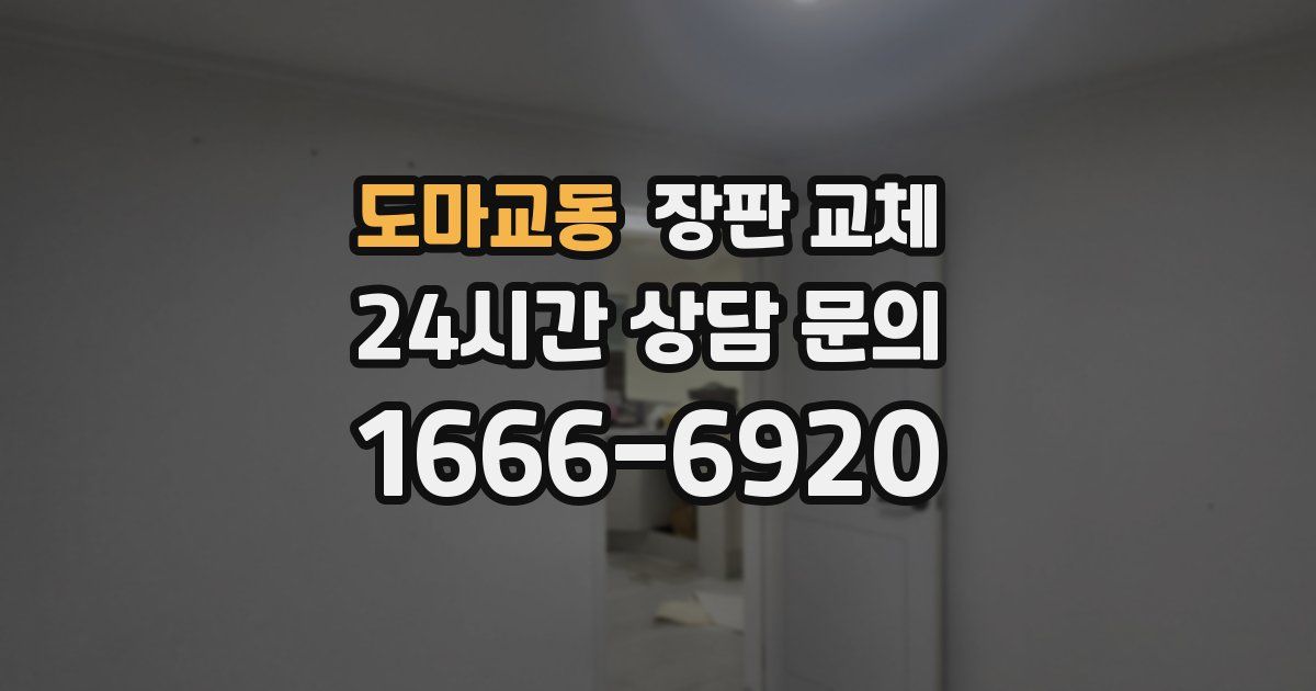 도마교동 장판 교체
