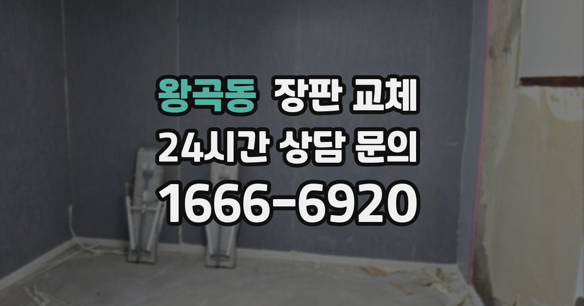 왕곡동 장판 교체
