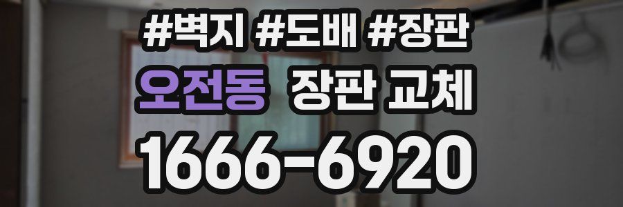 오전동 장판 교체