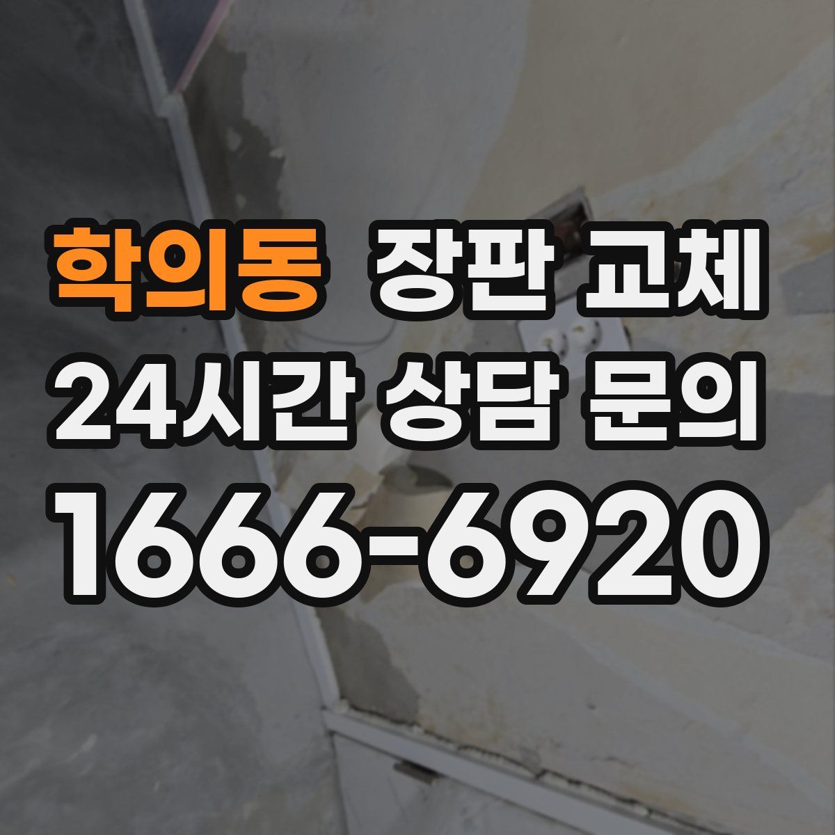 학의동 장판 교체