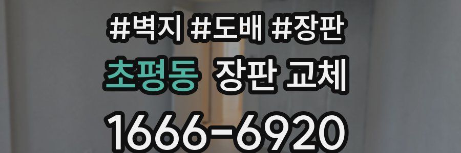 초평동 장판 교체