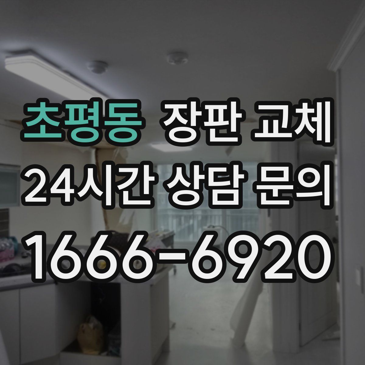 초평동 장판 교체
