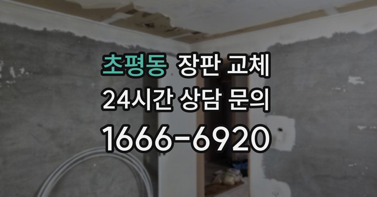 초평동 장판 교체