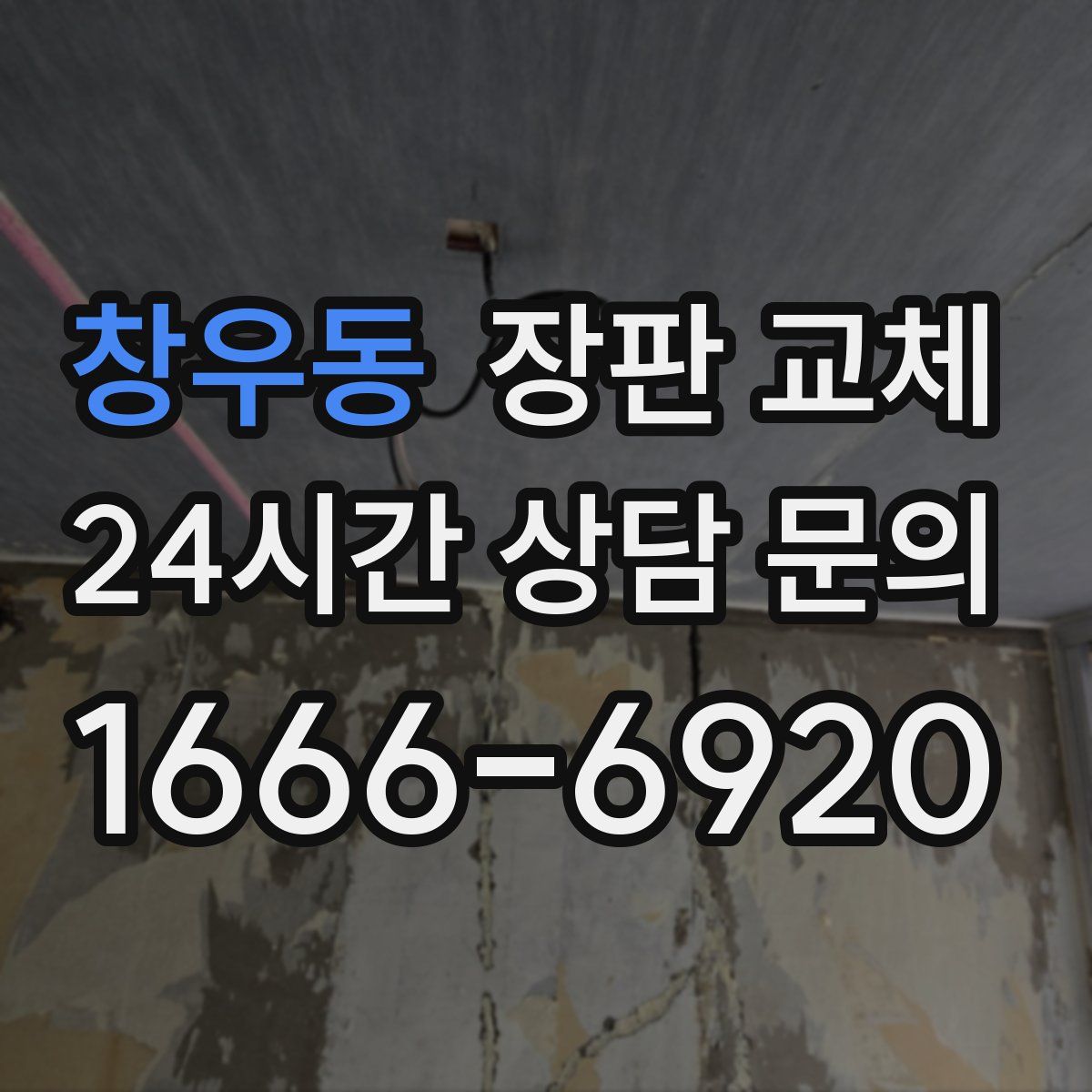 창우동 장판 교체