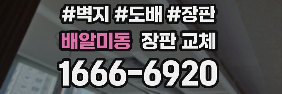 배알미동 장판 교체