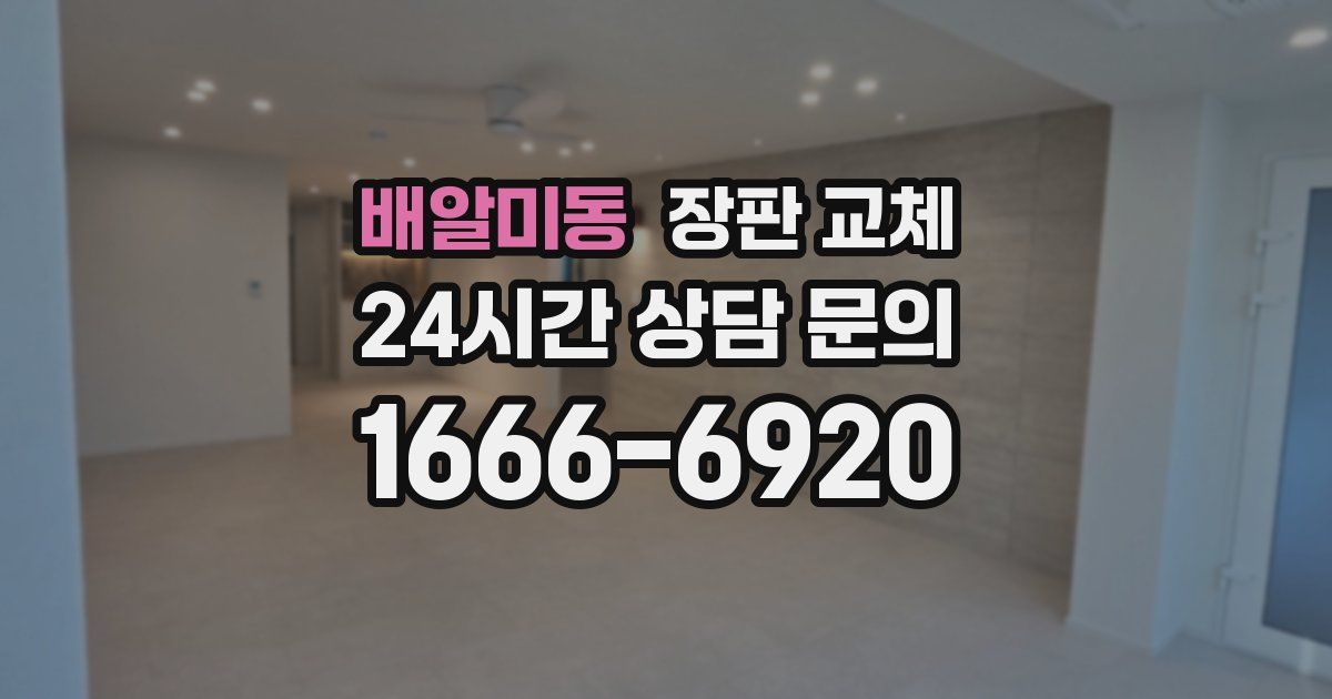 배알미동 장판 교체