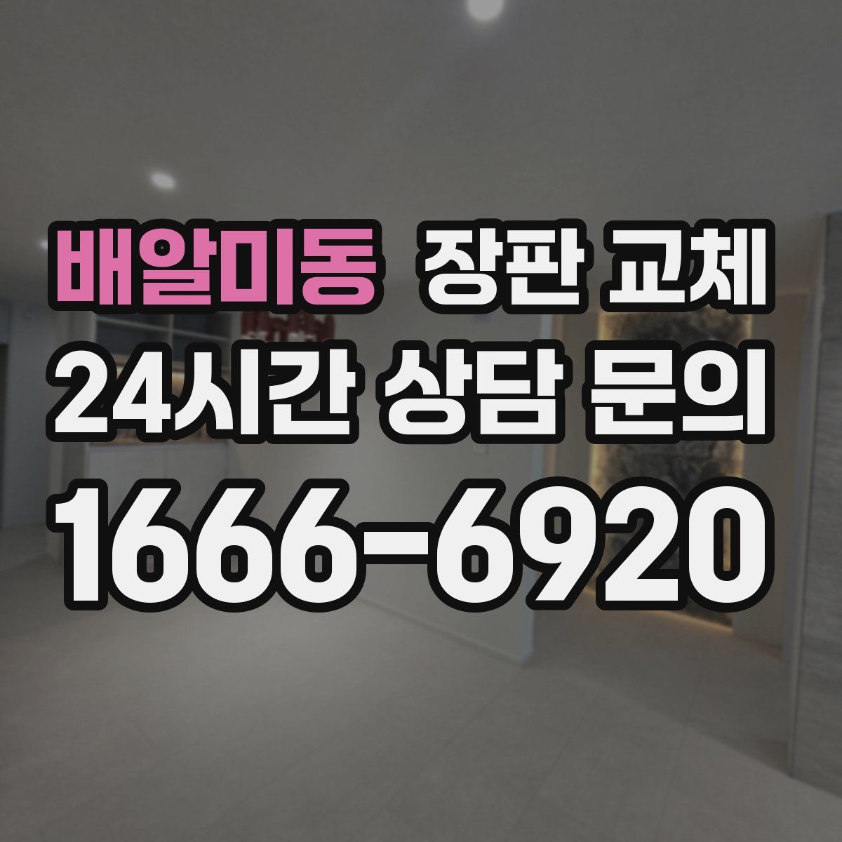 배알미동 장판 교체