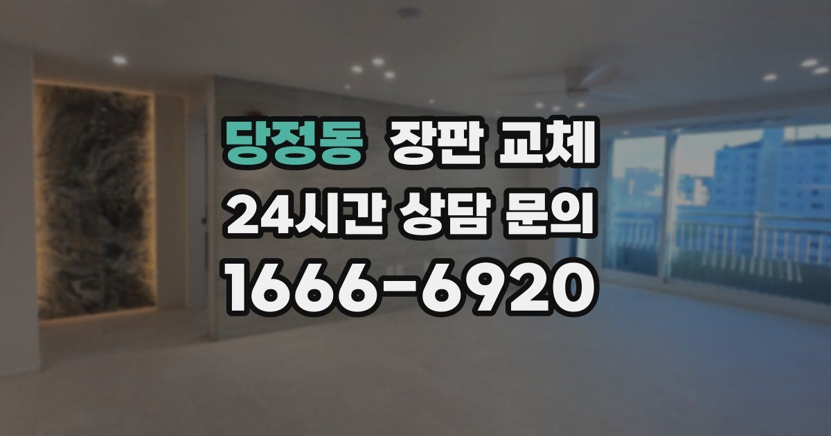 당정동 장판 교체