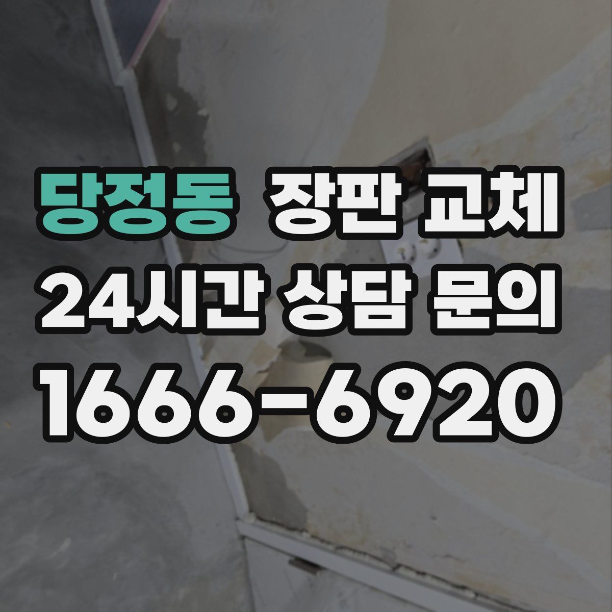 당정동 장판 교체
