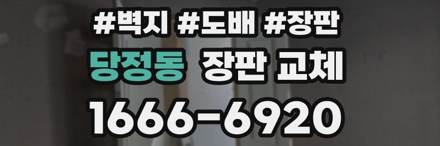 당정동 장판 교체