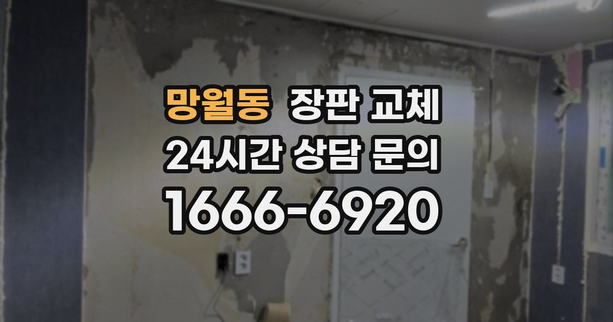 망월동 장판 교체