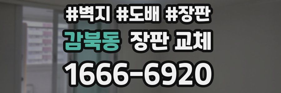 감북동 장판 교체