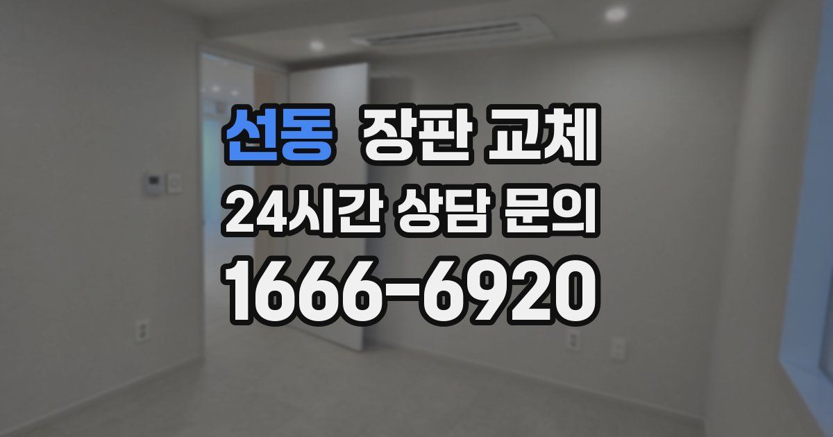 선동 장판 교체
