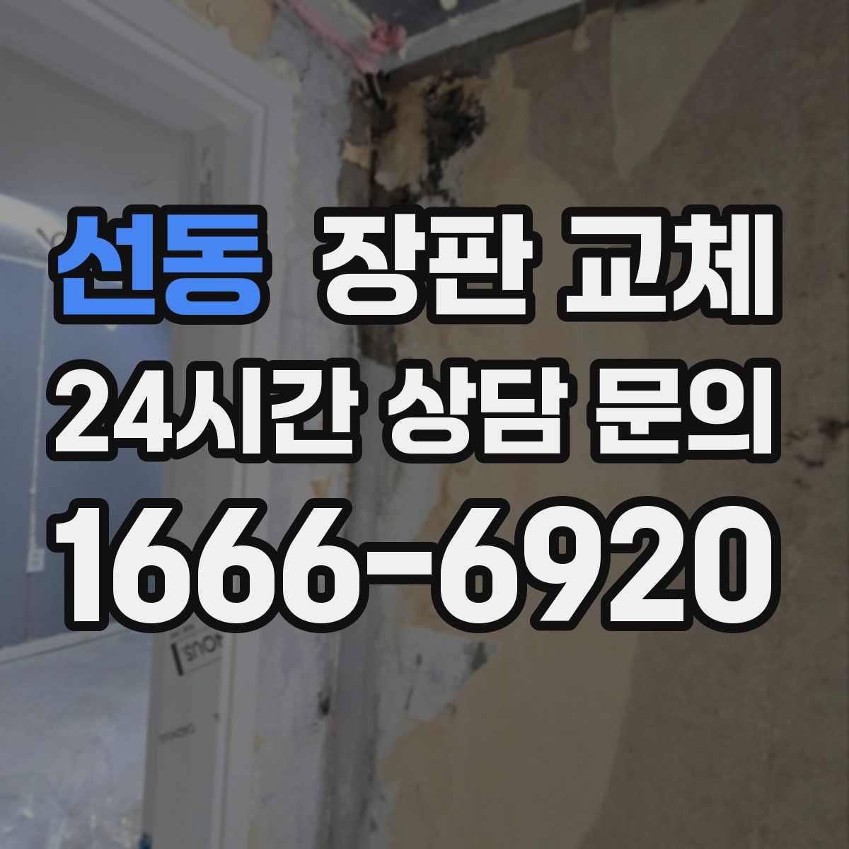 선동 장판 교체