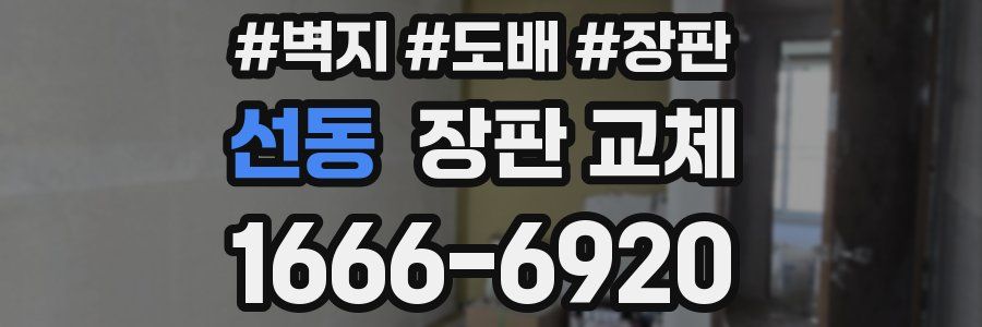 선동 장판 교체