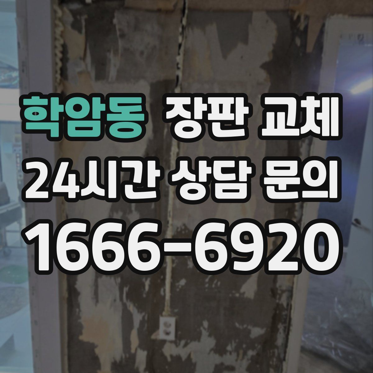 학암동 장판 교체