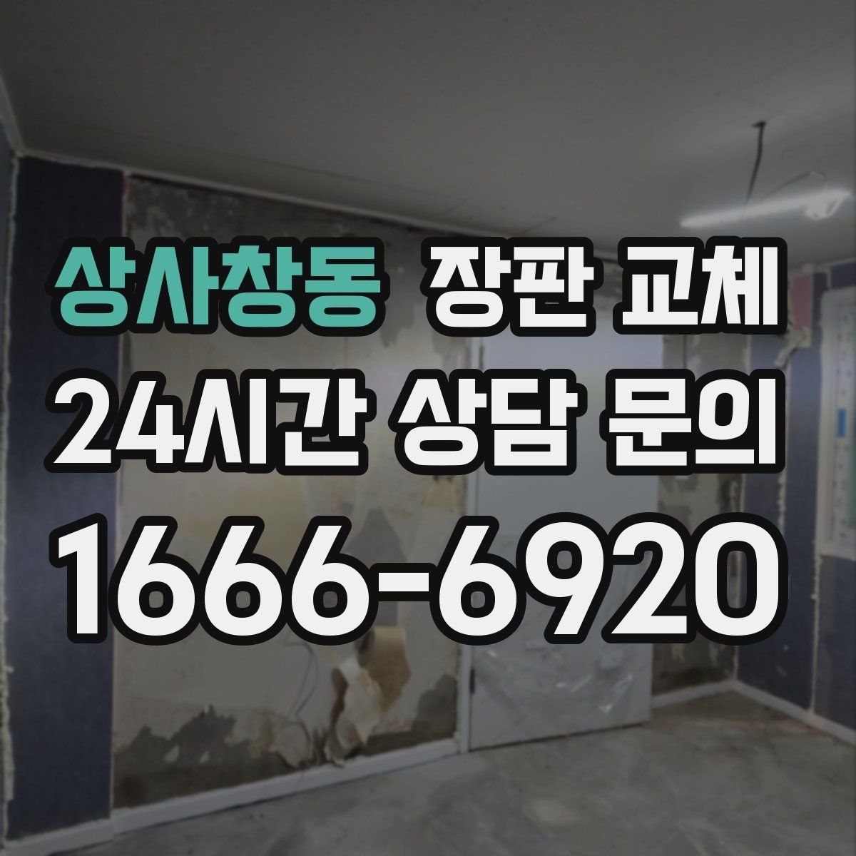 상사창동 장판 교체