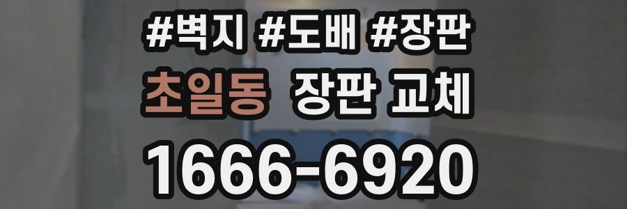 초일동 장판 교체