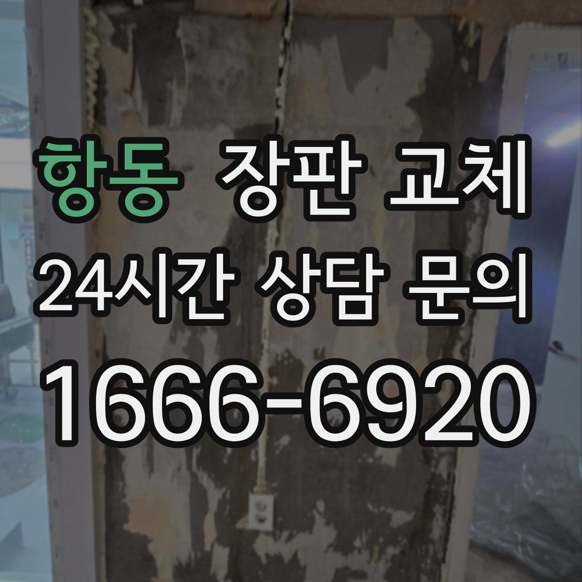항동 장판 교체