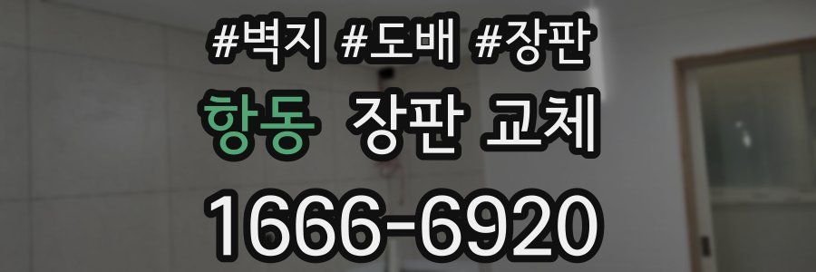 항동 장판 교체
