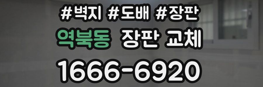 역북동 장판 교체