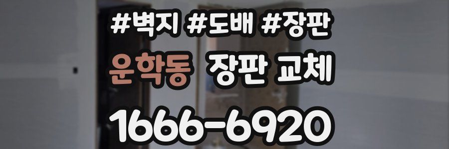 운학동 장판 교체