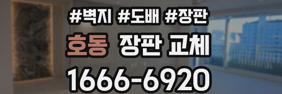 호동 장판 교체