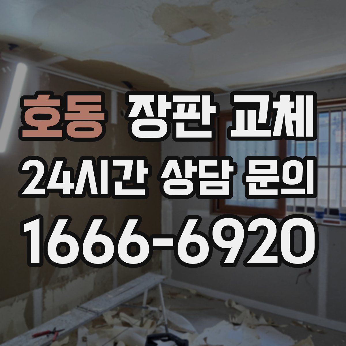 호동 장판 교체