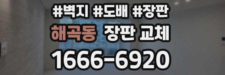 해곡동 장판 교체