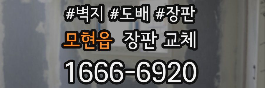 모현읍 장판 교체