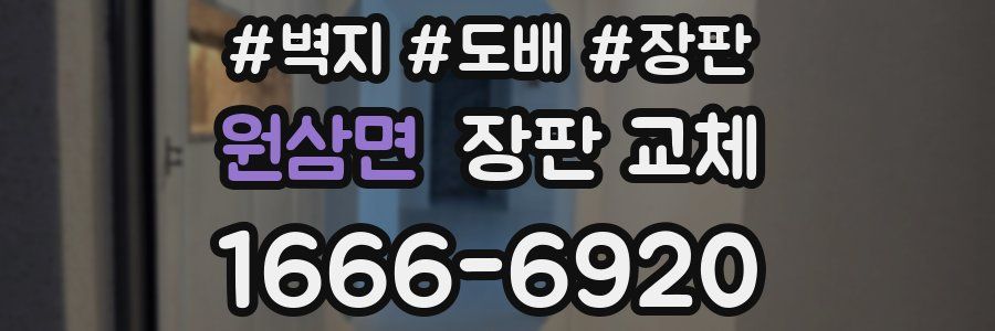 원삼면 장판 교체