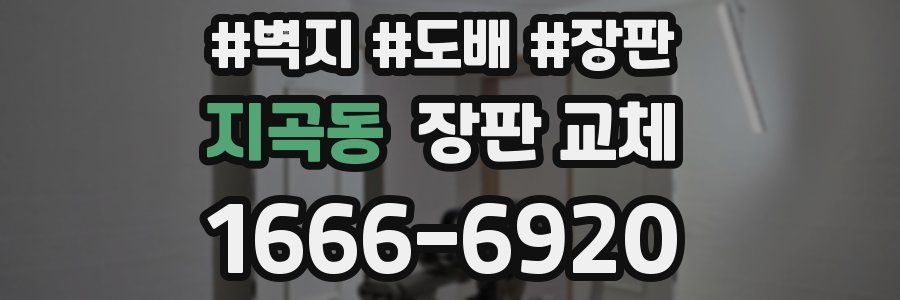 지곡동 장판 교체