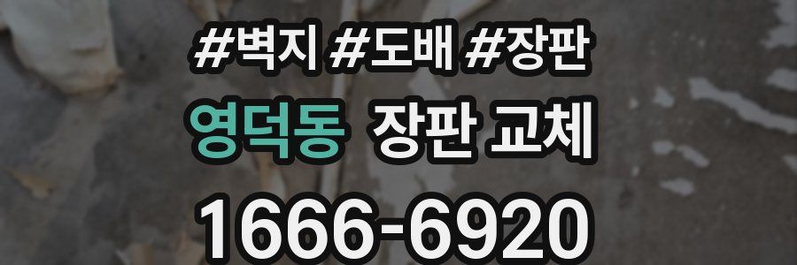 영덕동 장판 교체