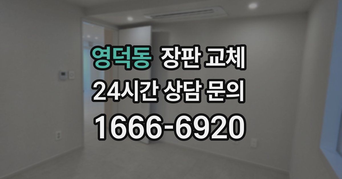 영덕동 장판 교체