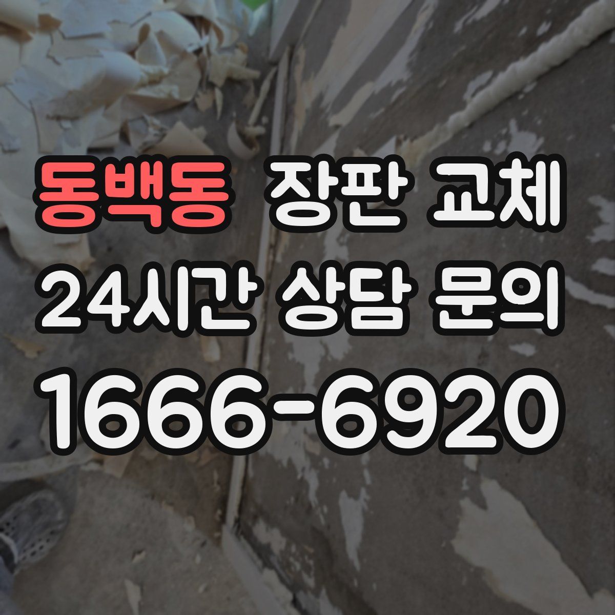 동백동 장판 교체