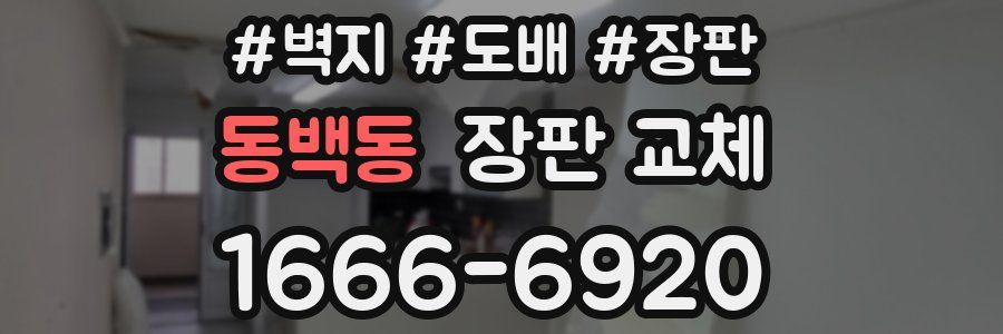동백동 장판 교체