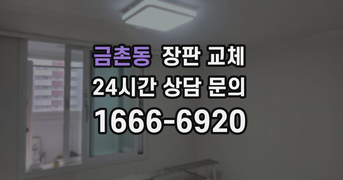 금촌동 장판 교체