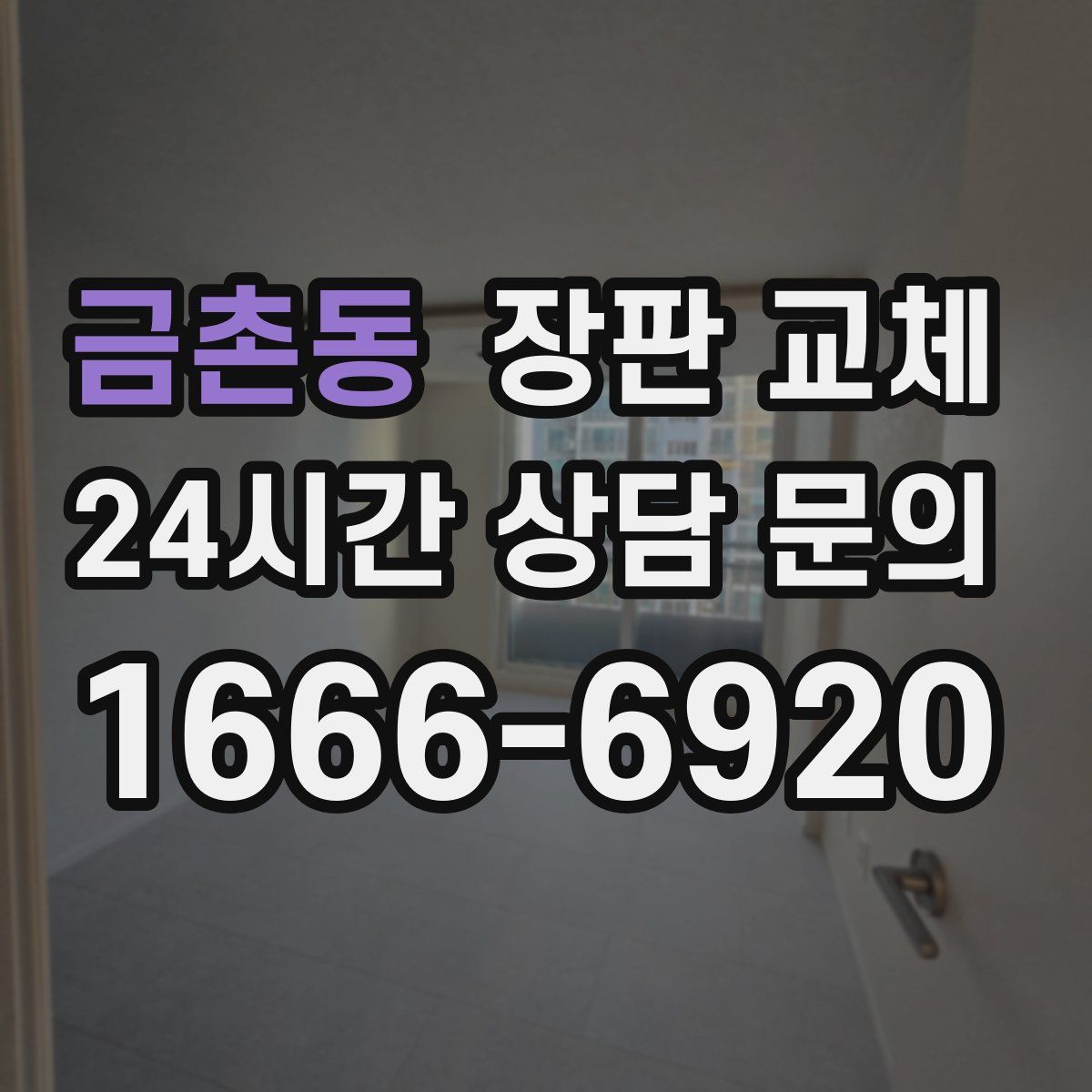 금촌동 장판 교체