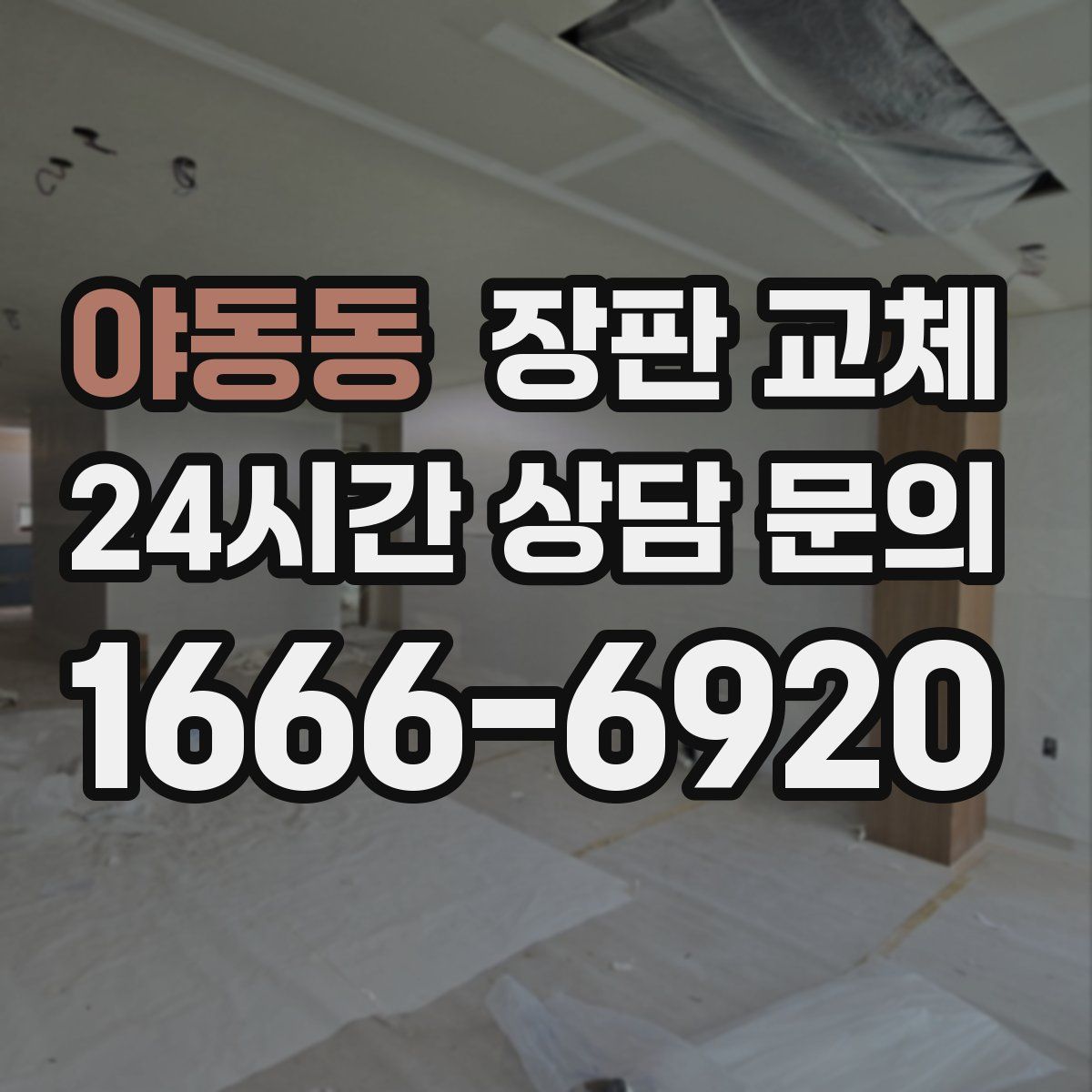 야동동 장판 교체