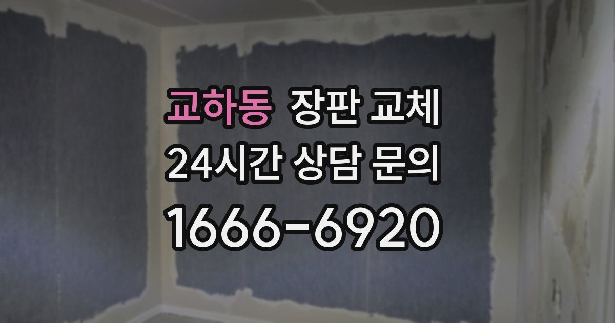 교하동 장판 교체