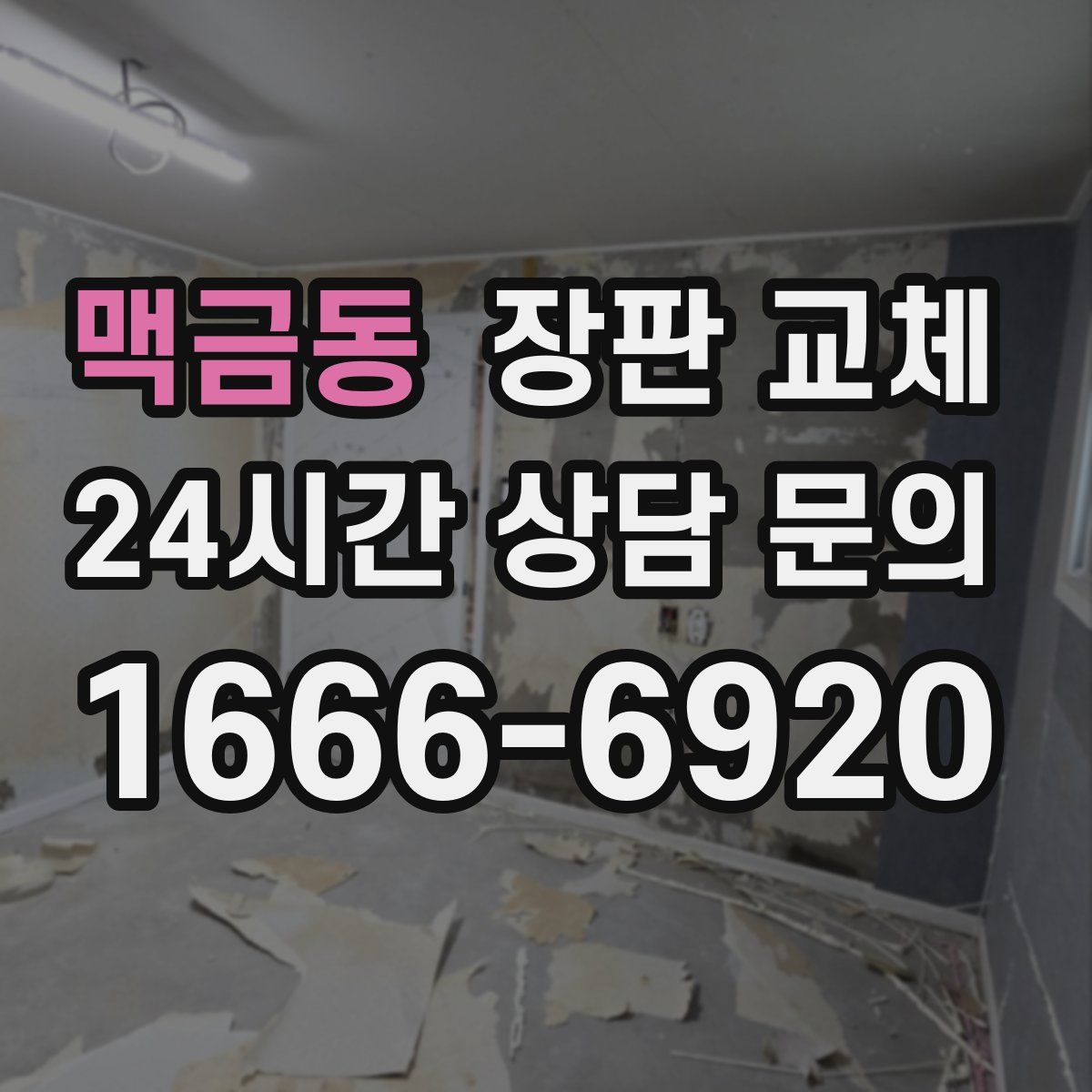 맥금동 장판 교체