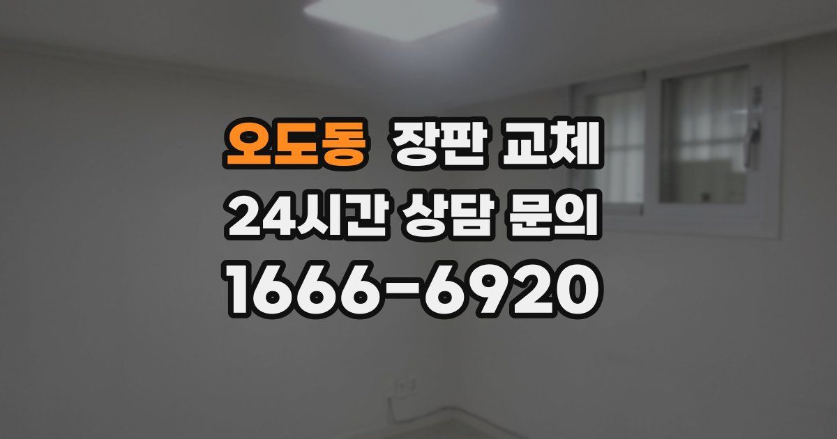 오도동 장판 교체